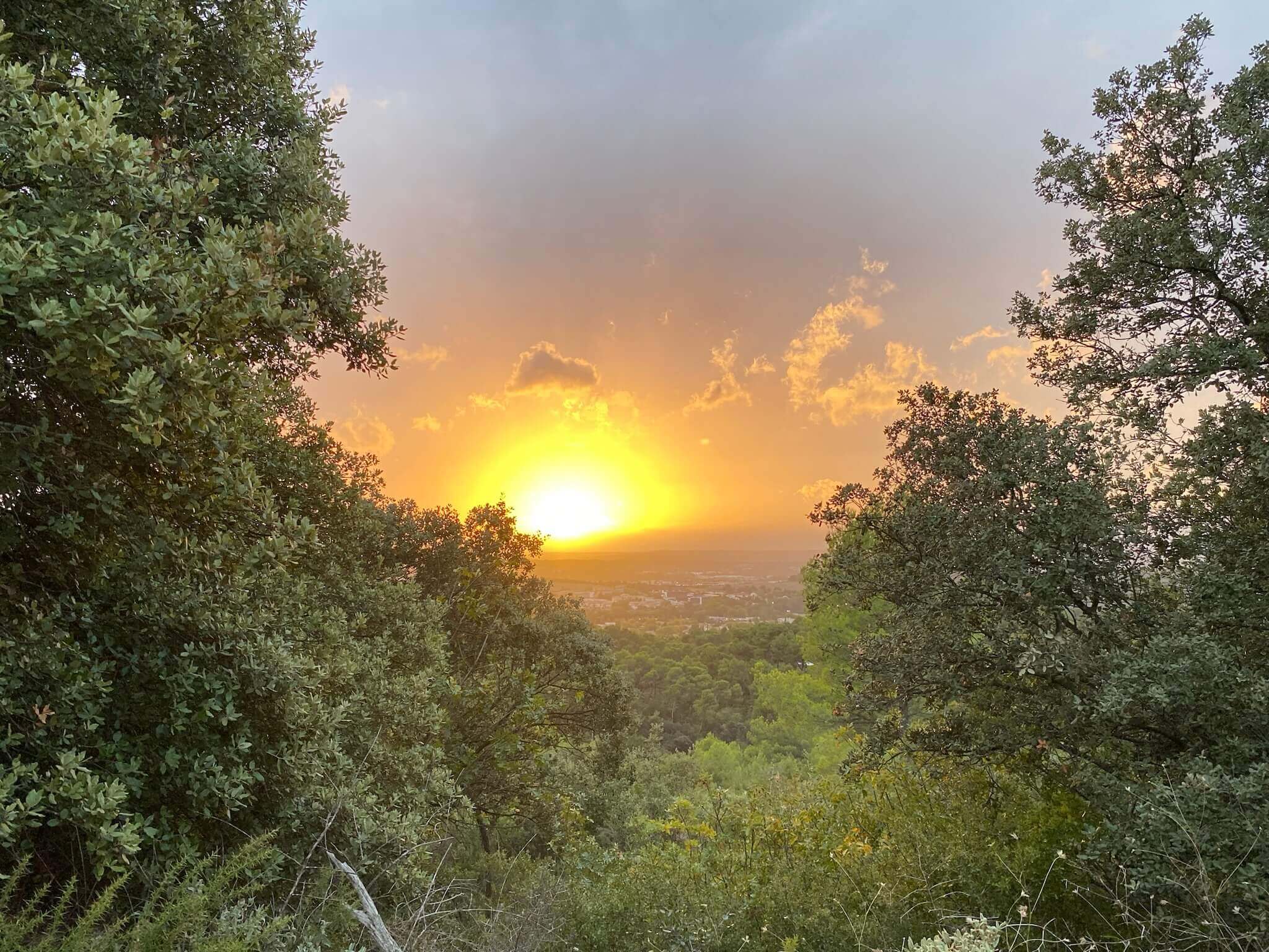 questions frequentes huile d'olive la souvenance aop aix en provence (1)