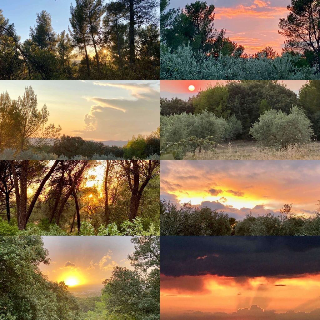 remerciements la souvenance domaine aop